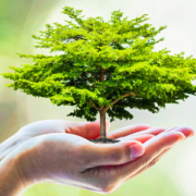 egeszsegmegorzes_oxigennel